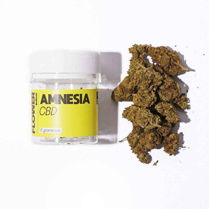 Amnesia - Fleur CBD